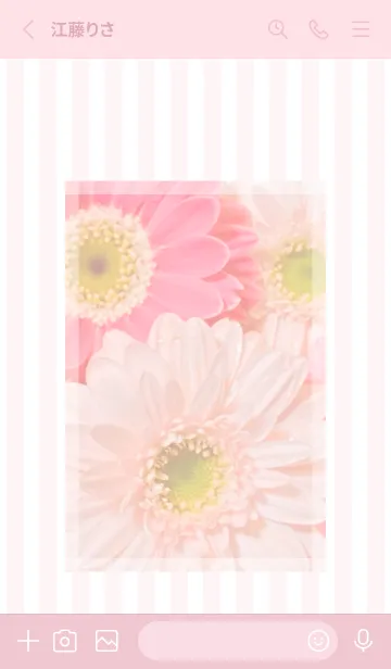 [LINE着せ替え] Gerbera Theme ♡ -2024- 1の画像2