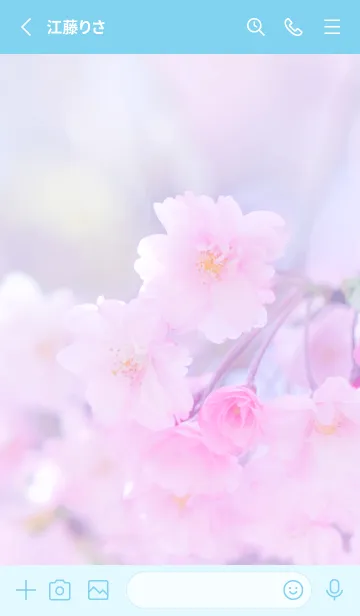 [LINE着せ替え] Real double cherry blossom #11-2の画像2