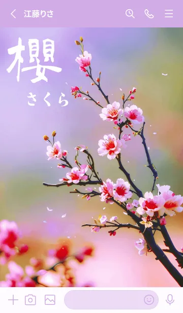[LINE着せ替え] 日本の超美しい桜(優しい紫色)の画像2