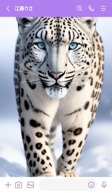 [LINE着せ替え] 夢幻の白いスノーヒョウ QZkyFの画像2