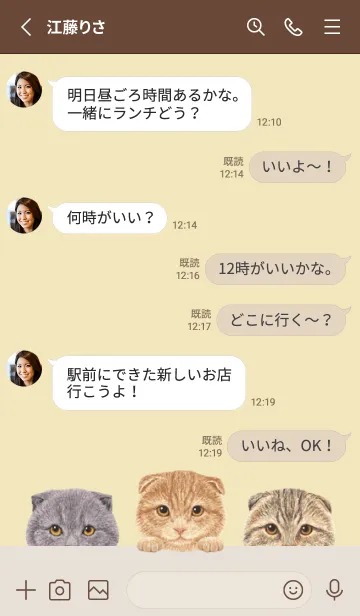 [LINE着せ替え] 猫 - スコティッシュ - クリーム イエローの画像3