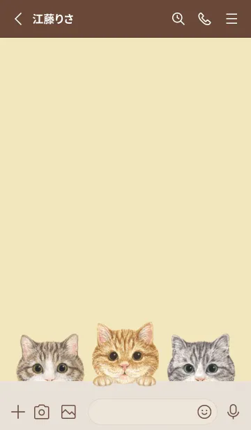 [LINE着せ替え] 猫 - マンチカン - クリーム イエローの画像2