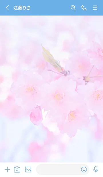 [LINE着せ替え] Sakura Photo 363 Not AIの画像2