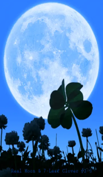 [LINE着せ替え] Real Moon & 7-Leaf Clover #2-3の画像1