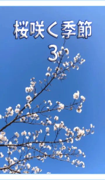 [LINE着せ替え] 桜咲く季節3 (白)【写真着せかえ】の画像1