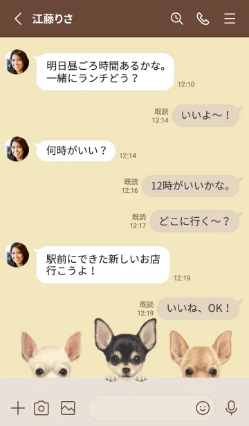 [LINE着せ替え] ワンワン！- チワワ - クリーム イエローの画像3