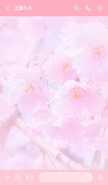 [LINE着せ替え] Sakura Photo 371 Not AIの画像2