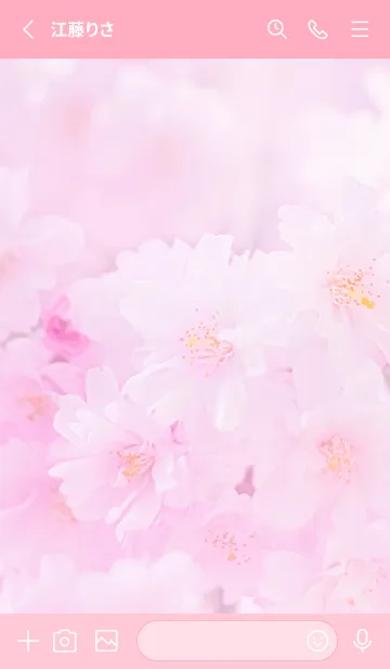 [LINE着せ替え] Real double cherry blossom #6-8の画像2