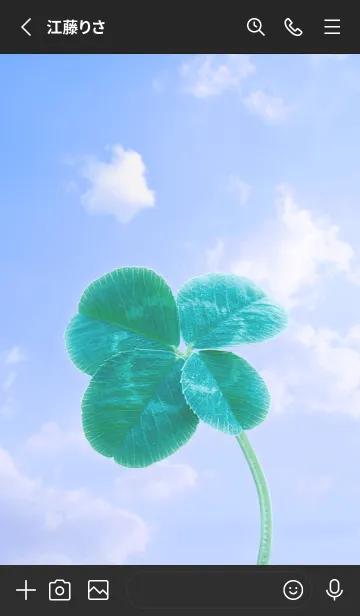 [LINE着せ替え] 本物ラッキークローバー 4-leaf #5-28の画像2