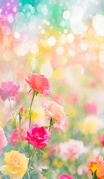 [LINE着せ替え] 薔薇(バラ)の花の着せかえ(R3900)の画像1