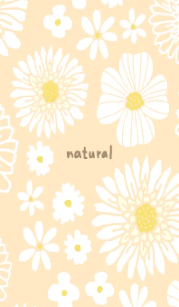 [LINE着せ替え] 色々な白い花18の画像1