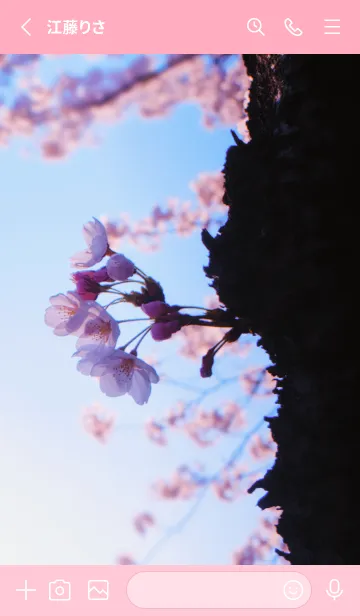 [LINE着せ替え] Real cherry blossom #7-8の画像2