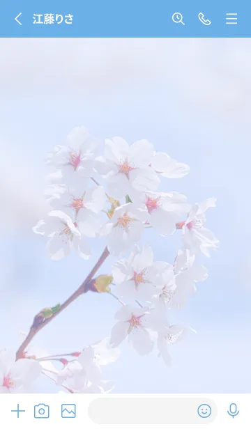 [LINE着せ替え] Sakura Photo 376 Not AIの画像2