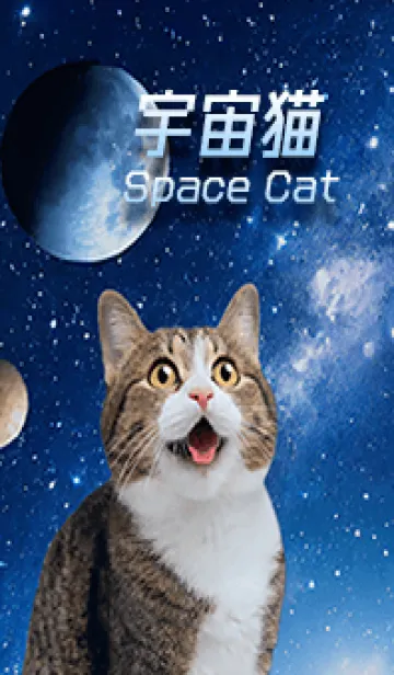 [LINE着せ替え] 【宇宙猫 Space Cat】驚くねこ.の画像1