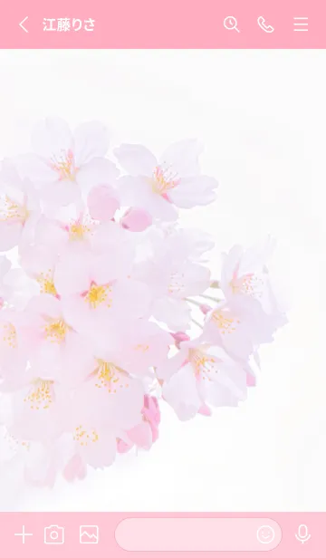 [LINE着せ替え] Real cherry blossom #1-9の画像2