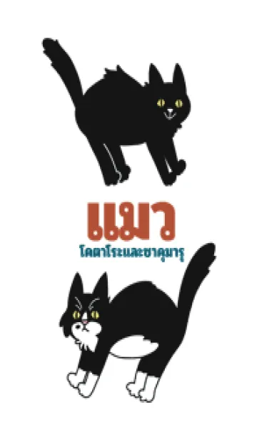 [LINE着せ替え] 猫たち ハチワレと黒猫の画像1