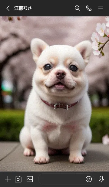 [LINE着せ替え] 一番かわいい c788Efの画像2