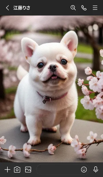 [LINE着せ替え] 一番かわいい 1924e6の画像2