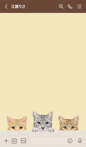 [LINE着せ替え] 猫 - ミックス 03 - クリーム イエローの画像2