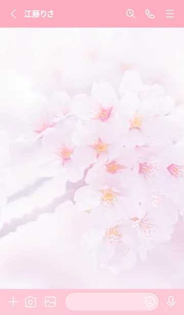 [LINE着せ替え] Real cherry blossom #4-9の画像2