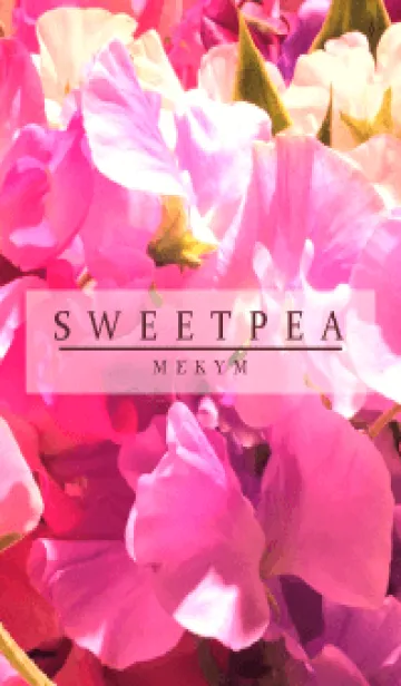 [LINE着せ替え] SWEET PEA-PINK 8の画像1