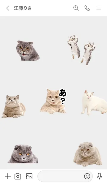[LINE着せ替え] 猫トーク01_1の画像2