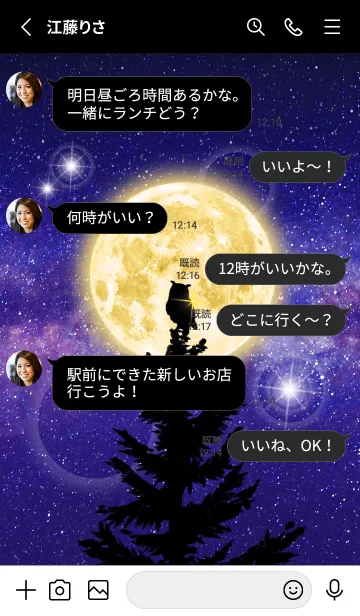 [LINE着せ替え] 運気アップ♡黄金の満月と幸運を運ぶ梟の画像3