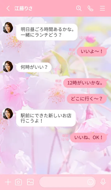 [LINE着せ替え] Sakura Photo 394 Not AIの画像3