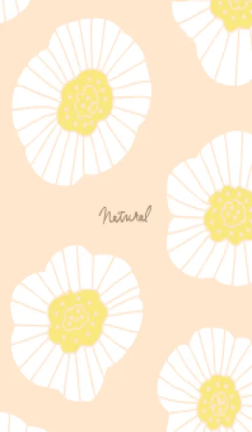 [LINE着せ替え] シンプル 白いお花 大人17の画像1