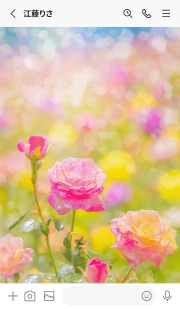 [LINE着せ替え] 薔薇(バラ)の花の着せかえ(R3953)の画像2