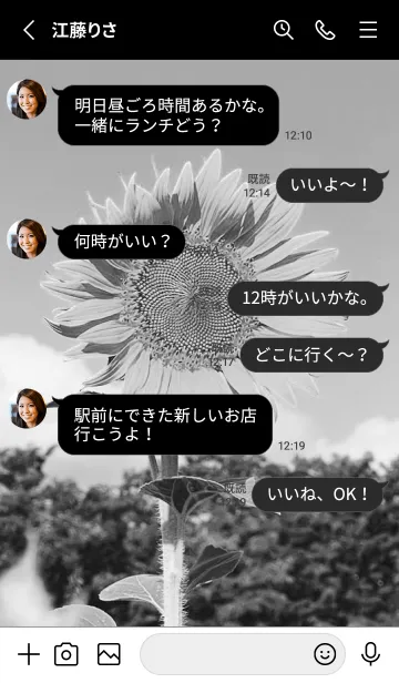 [LINE着せ替え] monochrome photograph...4の画像3