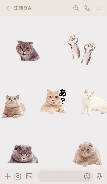 [LINE着せ替え] Greige 猫トーク02_1の画像2