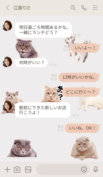 [LINE着せ替え] Greige 猫トーク02_1の画像3