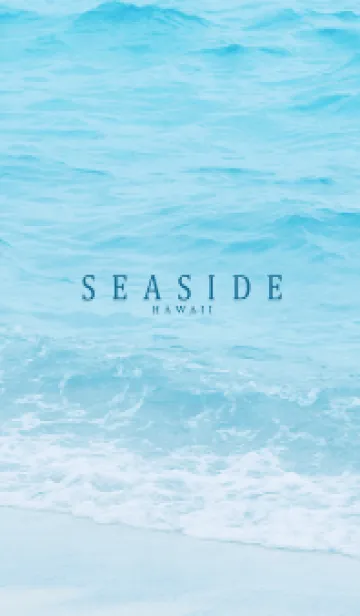 SEASIDE HAWAII-MEKYM 33の着せ替えメイン画像
