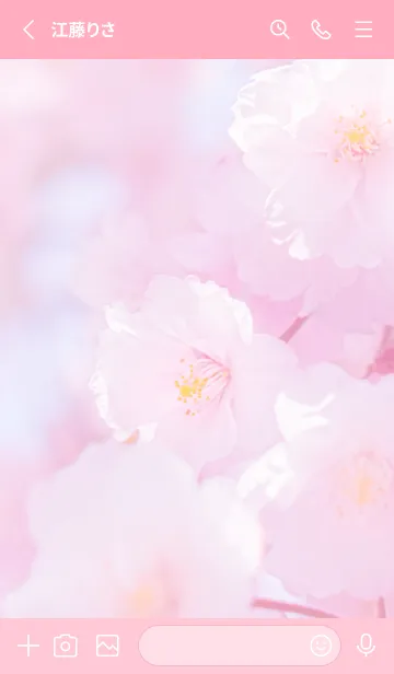 [LINE着せ替え] Real double cherry blossom #4-9の画像2