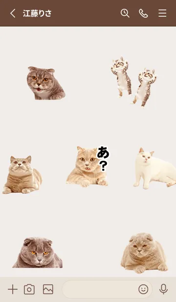 [LINE着せ替え] brown 猫トーク03_1の画像2
