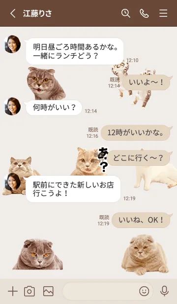 [LINE着せ替え] brown 猫トーク03_1の画像3