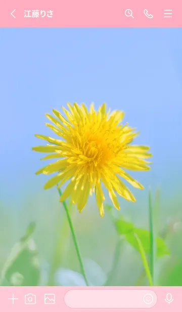 [LINE着せ替え] Dandelion Photo #1-1 Not AIの画像2