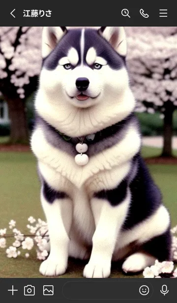 [LINE着せ替え] 一番かわいい D32273の画像2