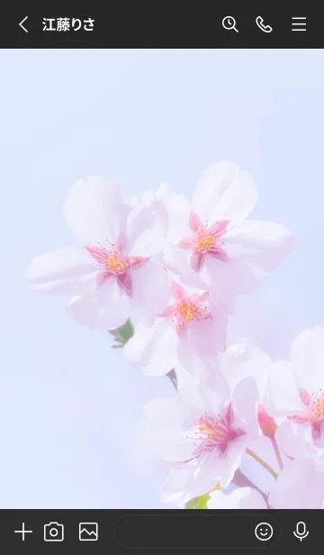 [LINE着せ替え] Real cherry blossom #8-9の画像2