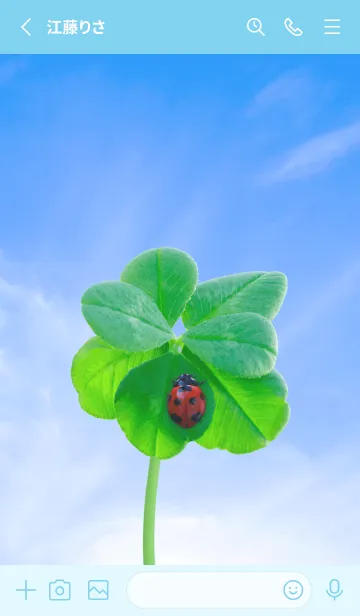 [LINE着せ替え] 本物ラッキークローバー & Ladybird #4-29の画像2