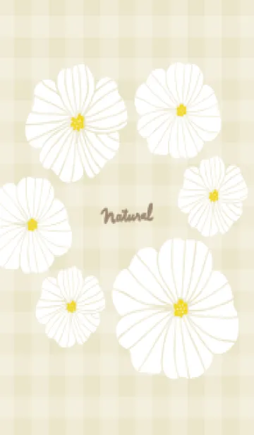 [LINE着せ替え] 6輪の白い花 チェック22の画像1