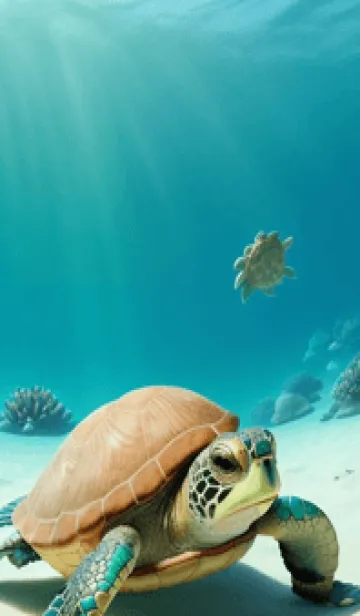 [LINE着せ替え] 海ガメと海 j6agTの画像1