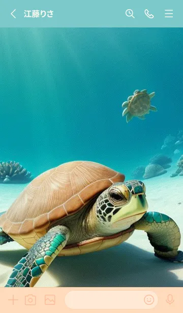 [LINE着せ替え] 海ガメと海 j6agTの画像2