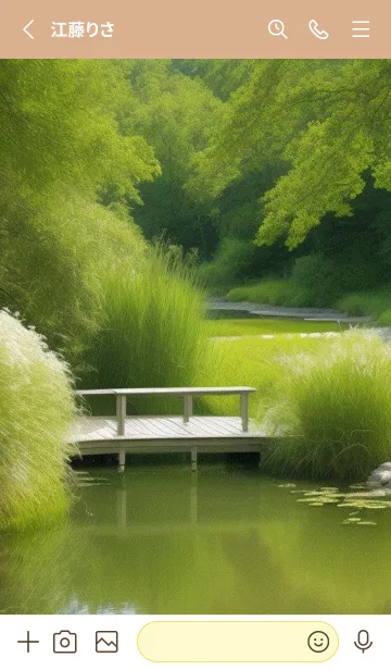 [LINE着せ替え] 春の静かな湖畔の森 AYg9Qの画像2