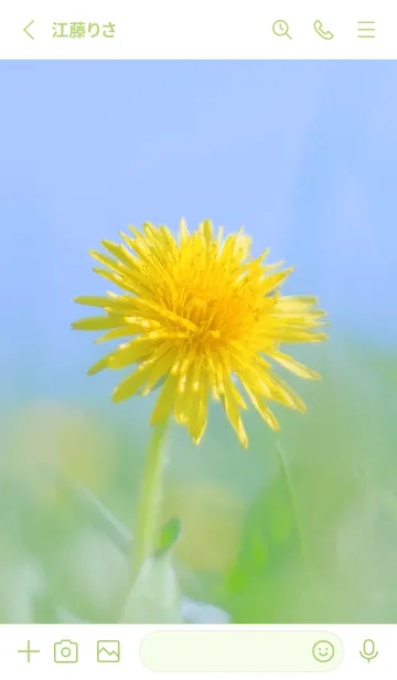 [LINE着せ替え] Dandelion Photo #3-1 Not AIの画像2