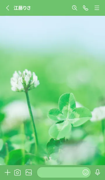 [LINE着せ替え] 四つ葉のクローバー Photo #6-1 Not AIの画像2