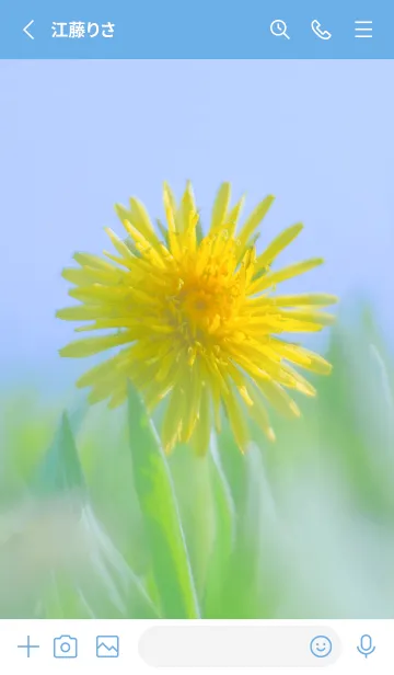 [LINE着せ替え] Dandelion Photo #4-1 Not AIの画像2