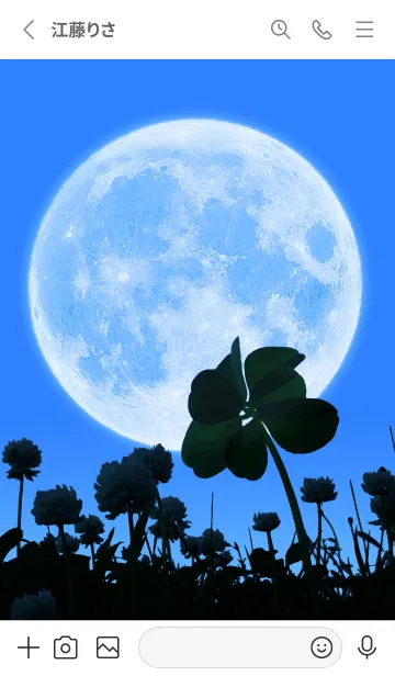 [LINE着せ替え] Real Moon & 7-Leaf Clover #2-4の画像2