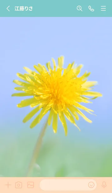 [LINE着せ替え] Dandelion Photo #5-1 Not AIの画像2